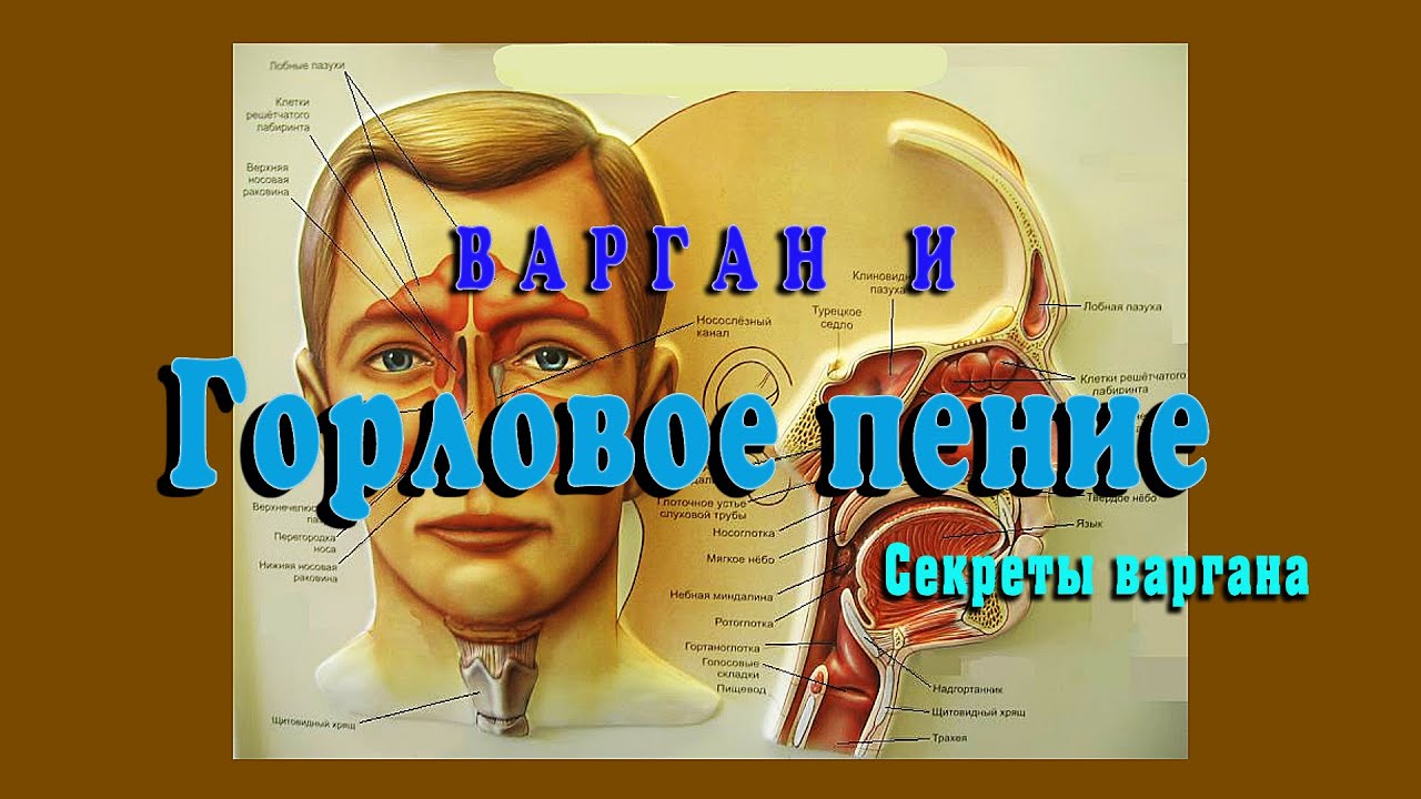 Варган и горловое пение - YouTube