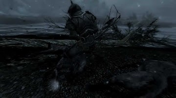 "The Elder Scrolls V: Skyrim" =  Kill the Ice Wraith =