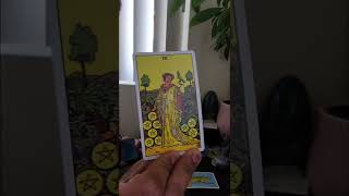 New to Spirituality 🌻 Past Life Energies 🌹Abandonment 💜 Clearing Old Karma- Collective Reading (Pt1)