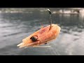 Žvejyba dugnine meškere Norvegijoje. Fishing in Norway. Fiske i Norge