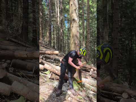 Rückhänger fällen