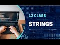 Strings | FBISE Book | Chap 5 | 12 Class Computer Science | Code X.