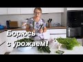 Мариную огурцы в автоклаве/Любимый василек / Распаковка/ Life in Russia/ life in the village