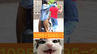 Phasss gayee🤣🤣🤣#cat #funny #trending #music #trending #funny