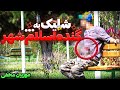 بزرگترین خلافکار اسلام شهر در دام پلیس دوربین مخفی بزرگترین خلافکار اسلام شهر در دام پلیس دوربین مخفی