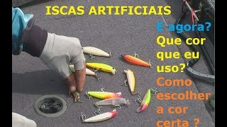 Como escolher a cor da isca de acordo com a cor da água - Dicas do P.G - Espaço Pesca