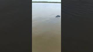 озеро Горькое