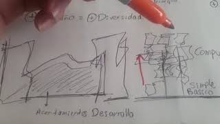 Explicación de sociedad Grupo #6