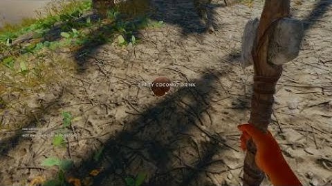 Stranded Deep Full Inventory Bug