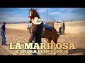 La Mariposa Vs el Cubano | Carril Durango 2000
