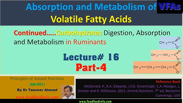 Lecture # 16-Part-4-Absorption and Metabolism of Volatile Fatty Acids-Carbohydrates and Ruminants