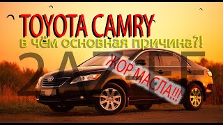 Почему Toyota Camry 40 2az-fe жрёт масло?!