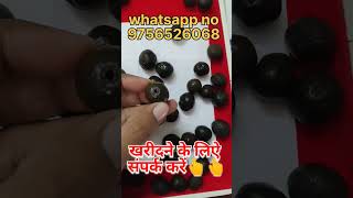 original rudraksha fruits | natural rudraksha fruits | asli rudraksha ke fal lene ke liye sampark