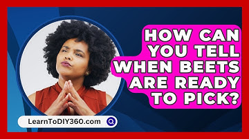 How Can You Tell When Beets Are Ready To Pick? - LearnToDIY360.com