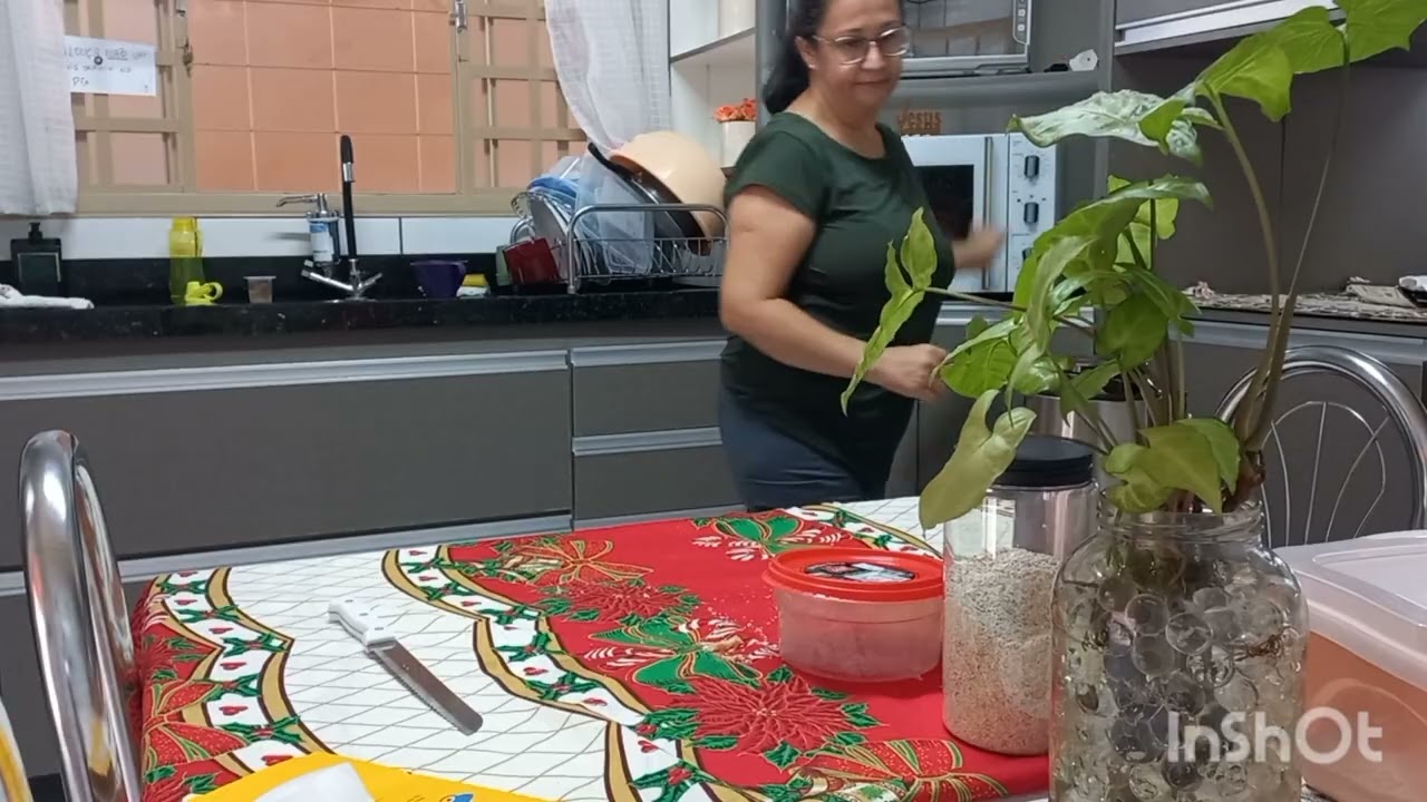 Meu dia a dia,  depois de tudo limpo a chuva molhou tudo. 