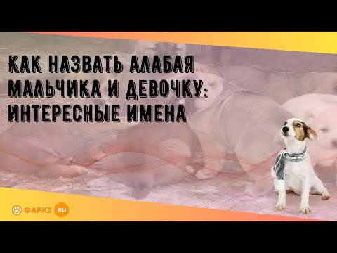 Как назвать алабая мальчика и девочку: интересные имена