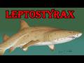 Leptostyrax