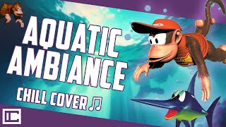 AQUATIC AMBIANCE from Donkey Kong but its EVEN MORE CHILL