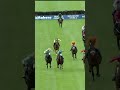 The horse who has to be centre of attention 🤣