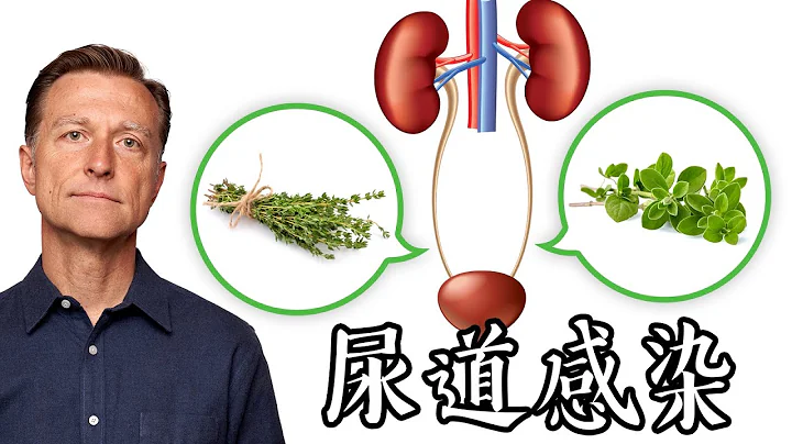 尿道炎,第一名自然療法,柏格醫生 Dr Berg - 天天要聞