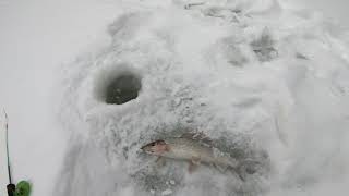 Рыбалка на хариуса зимой.Поиск рыбы на плесах.