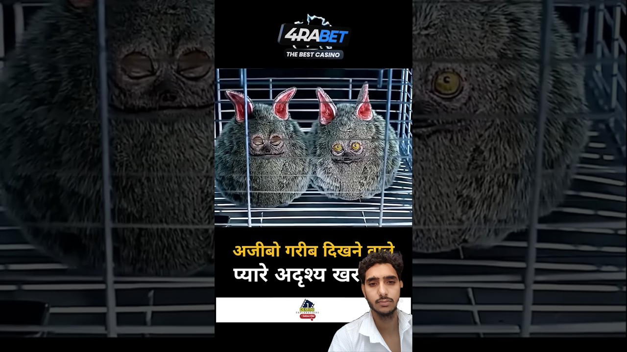 new alien 🤔🤔 #movie #hollywoodhungamaexplainer #film #horrorstories #movieexplainedinhindi