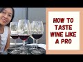 How to Taste Wine Like a Pro - Doolhof Wine Tasting - Part 2 ||South Africa ||Nanette Du Plessis