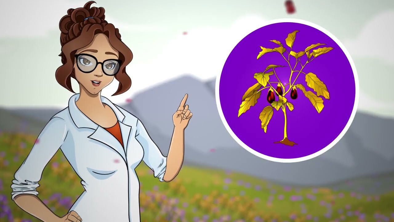 Atami ATA ATAzyme ENG Sub ITA