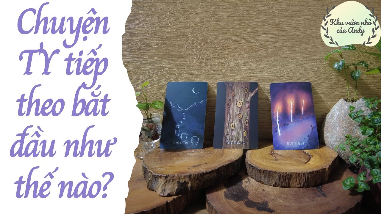 Chuyện tình yêu tiếp theo bắt đầu như thế nào? |Trải bài tarot| Khu vườn Andy