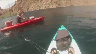 Willow beach Az. kayak and camping