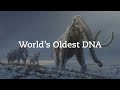 World’s oldest DNA sheds light on mammoth evolution - EarthSky