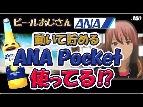 【これ見るだけでOK】ANAPocket基本のき