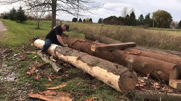 A Timber Frame Vlog #80: A Day Without Rain