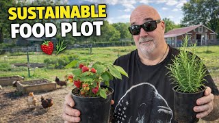 Growing Sustainable Food In Our DIY Garden Plots! What Will Be The Best Food To Grow?