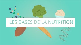 Les bases de la nutrition