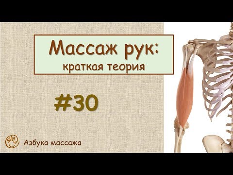 Массаж рук | Урок 30 | Видеоуроки по массажу