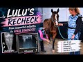 Lulu’s Recheck 