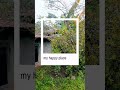 liburan #liburan #viral