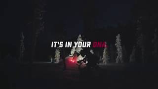Lynx Lineup 2019 | It's in your DNA.
