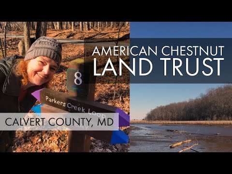 Calvert Trust Rafting Parkers Creek Trail and Raft – American Chestnut Land Trust (ACLT ...