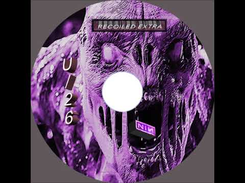 Nine Inch Nails Recoiled Extra CD - YouTube