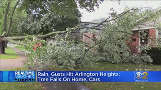 Rain, Gusts Hit Arlington Heights; Tree Falls On Home, Cars