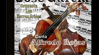 ORQUESTA JOSÉ GARCIA - ALFREDO ROJAS - CALLA BANDONEON - TANGO ORQUESTA JOSÉ GARCIA - ALFREDO ROJAS - CALLA BANDONEON - TANGO