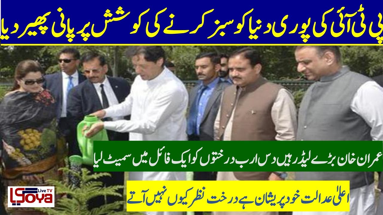 10 Billion tree Tsunami 2020