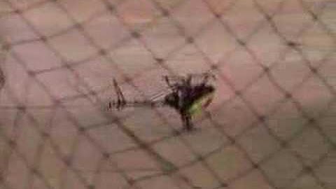 Bert Kammerer T-Rex 450 SE V2 Demo at iHobby Expo 2007