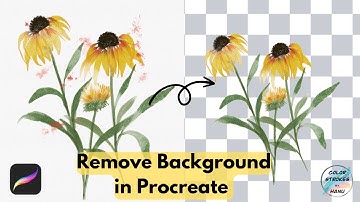 Procreate Watercolor into Transparent PNG | Procreate Tips