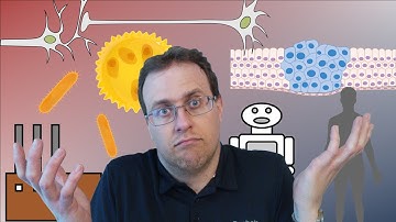 Why Study Molecular Communication?