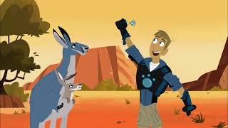 Wild Kratts S01EP19 Kickin It With The Roos