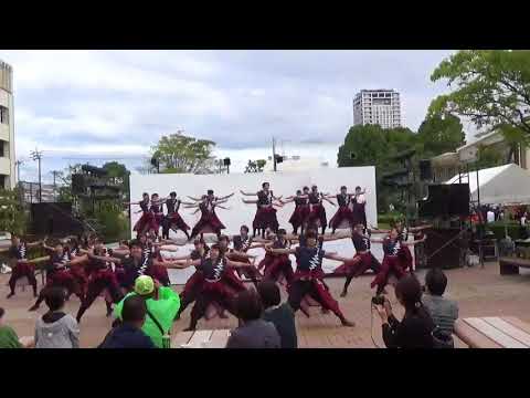 香川大学よさこい連”風華”「南中ソーラン」香川大学祭2017 第1日目