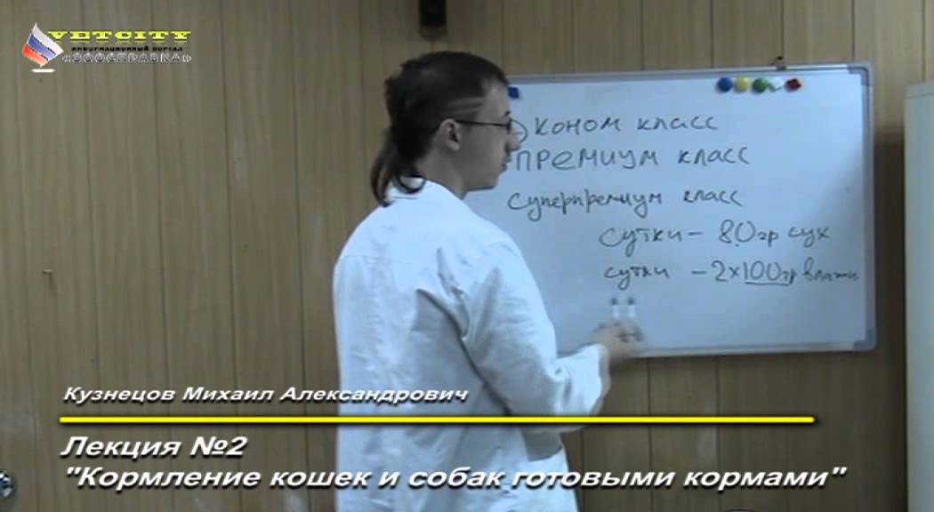 Лекция №2 "Кормление кошек и собак готовыми кормами"
